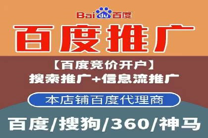 搜索引擎广告（SEM）在本地化推广中的运用案例